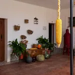 Rural Arroyo La Plata By Bossh 4* 赫雷斯德洛斯卡瓦列罗斯