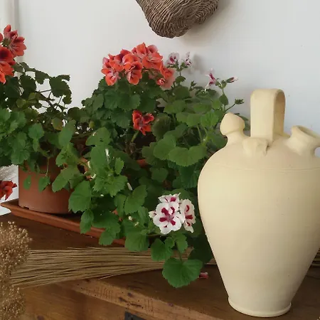 Rural Arroyo La Plata By Bossh Hotel